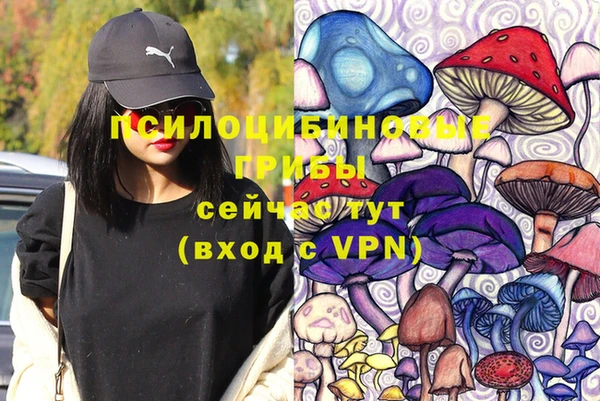 PSILOCYBIN Верхнеуральск