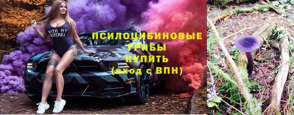 МДПВ Верхний Тагил